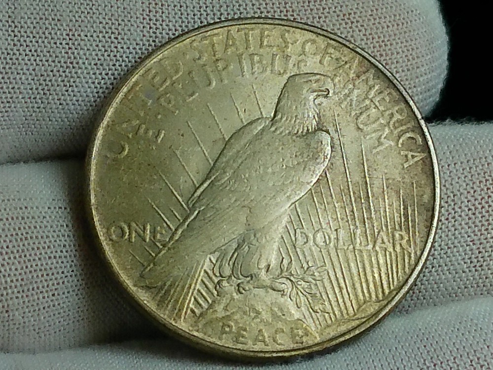 Raw 1922 Peace Silver Dollar - Philadelphia