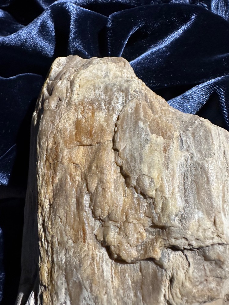 Petrified Opalized Wood Specimen Natural Form