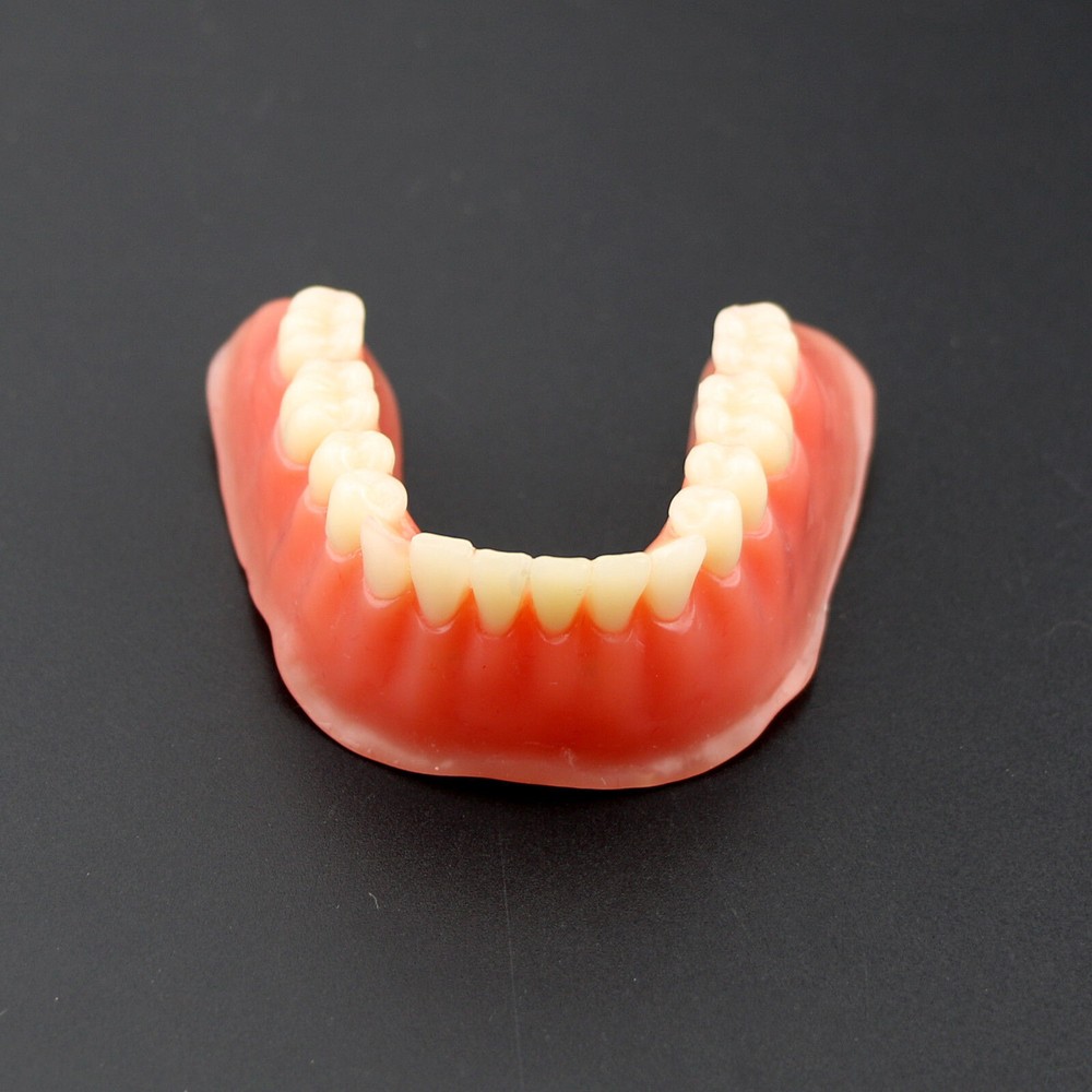 Dental Overdenture Study Demo Model Inferior M6008 Lower 4implants Silver Teeth