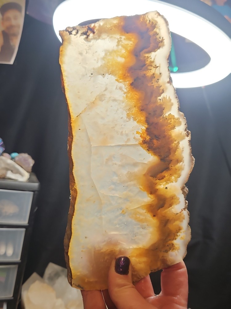 Graveyard Plume Agate Slab Specimen (11oz)