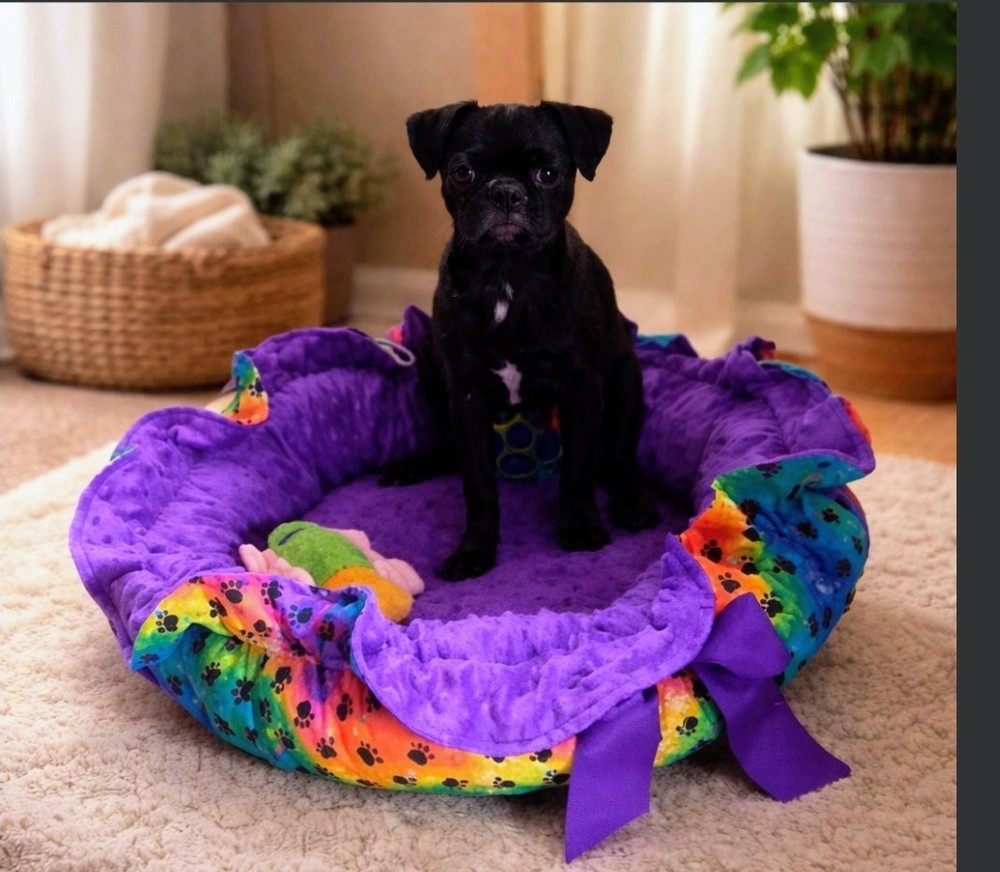 Hand crafted beautiful pet bed