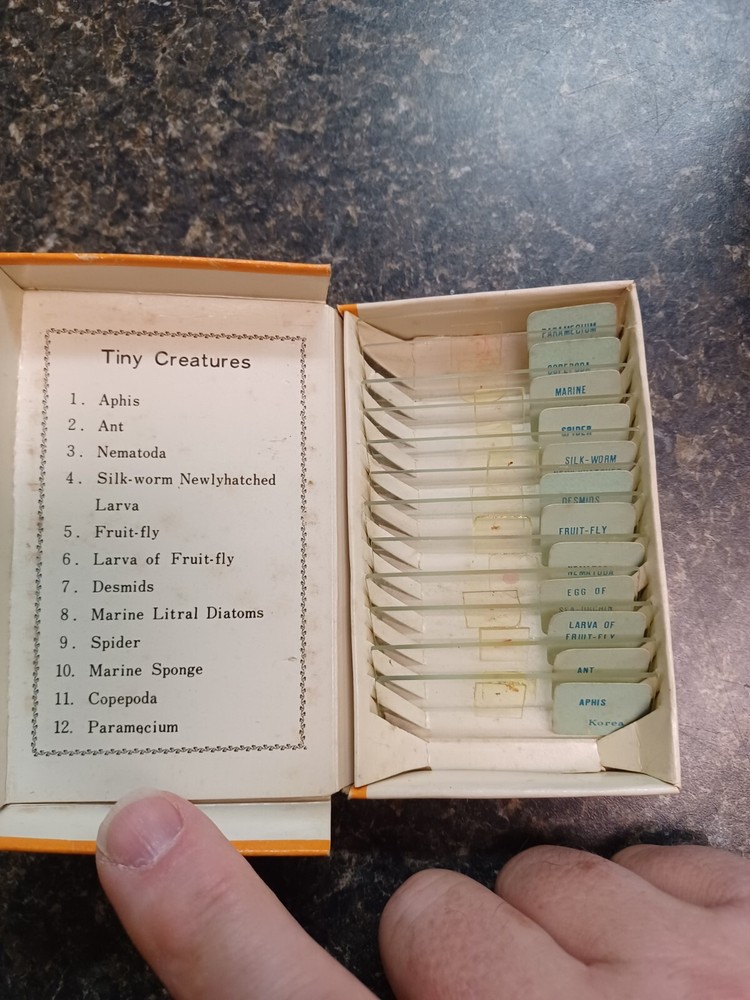 Vintage Sears Prepared And Labeled Microscope Slides