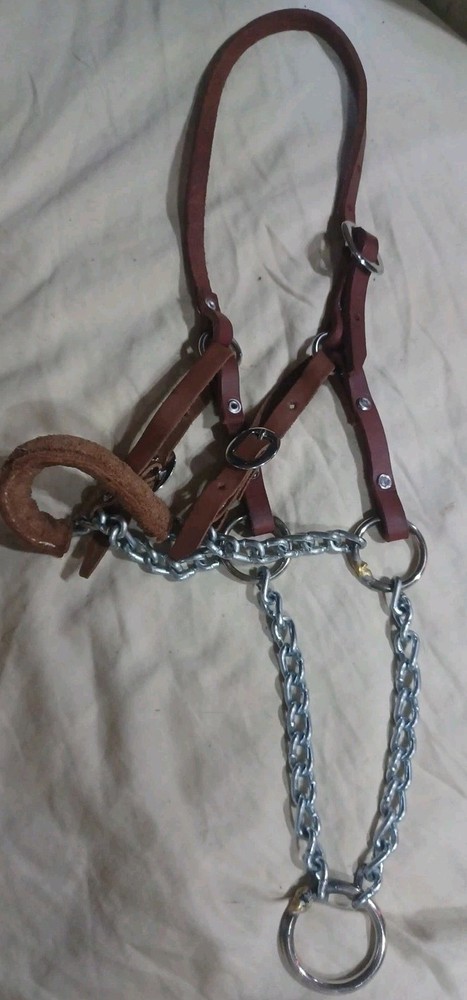 Natural Leather Halter