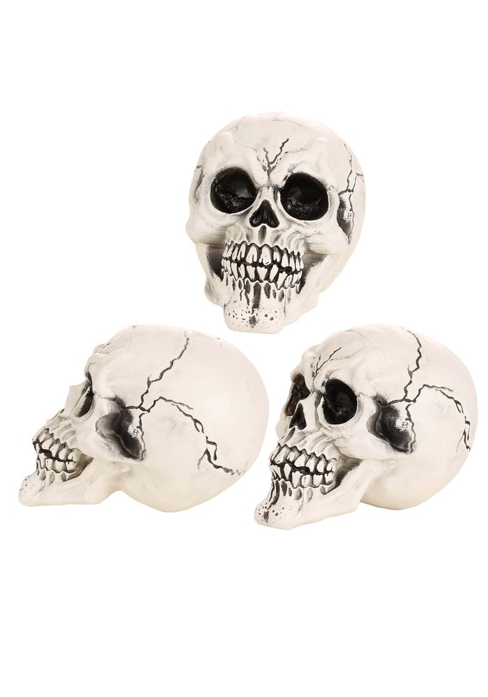Set of 3 Large Skulls