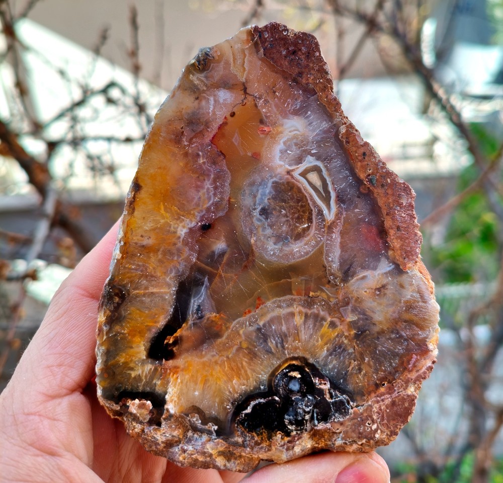 Mirror Polished Orange Lace Agate Uv Reactive