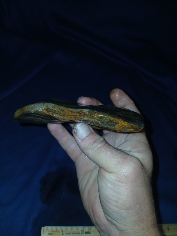10.5 oz Texas Petrified Wood