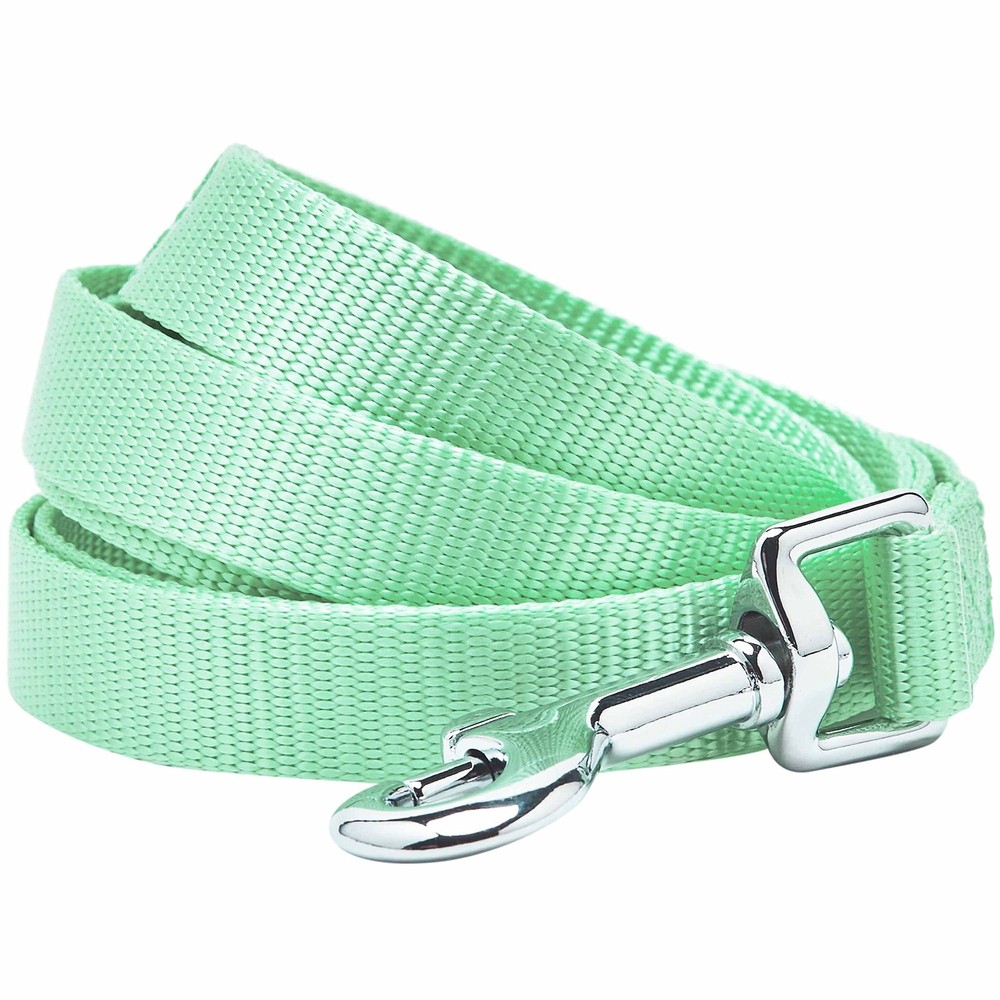 Essentials Durable Classic Dog Leash | Basic Nylon| 4ft. x 1" Large | Pastel ...