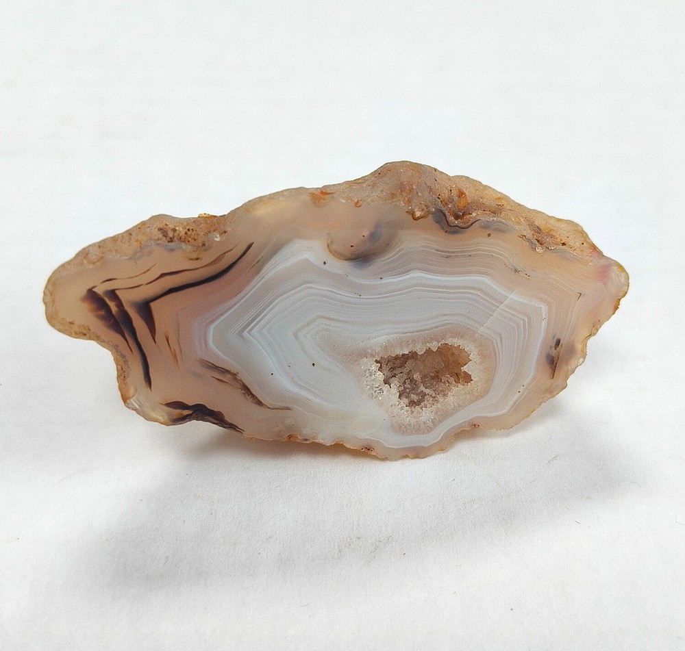 Natural Dendritic Agate Slice - Rare Eagle Point Specimen with Intricate Pattern