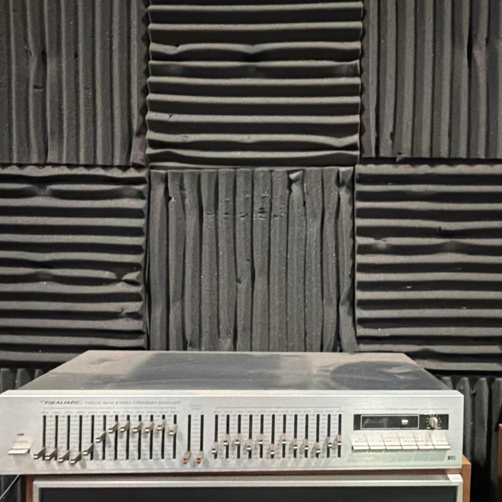 Realistic 31-2020 Twelve Band Stereo Analog Equalizer Silver RCA Inputs Outputs