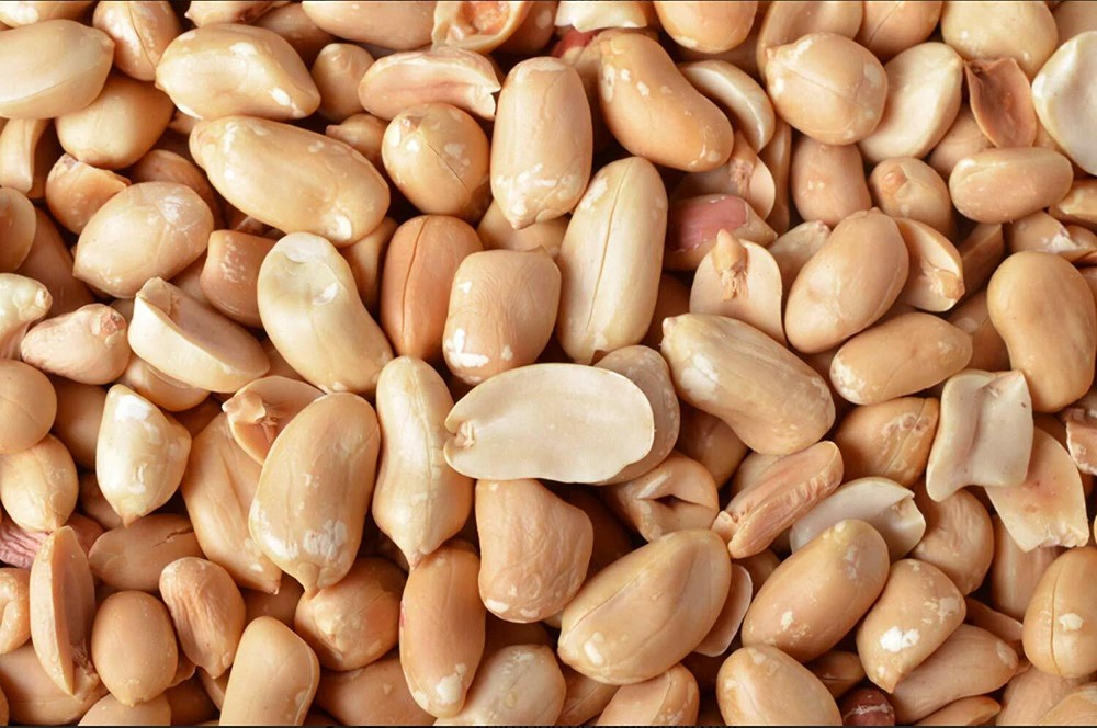 Bulk Raw Peanuts, Natural & Unsalted  25 Pound Wholesale Value Box