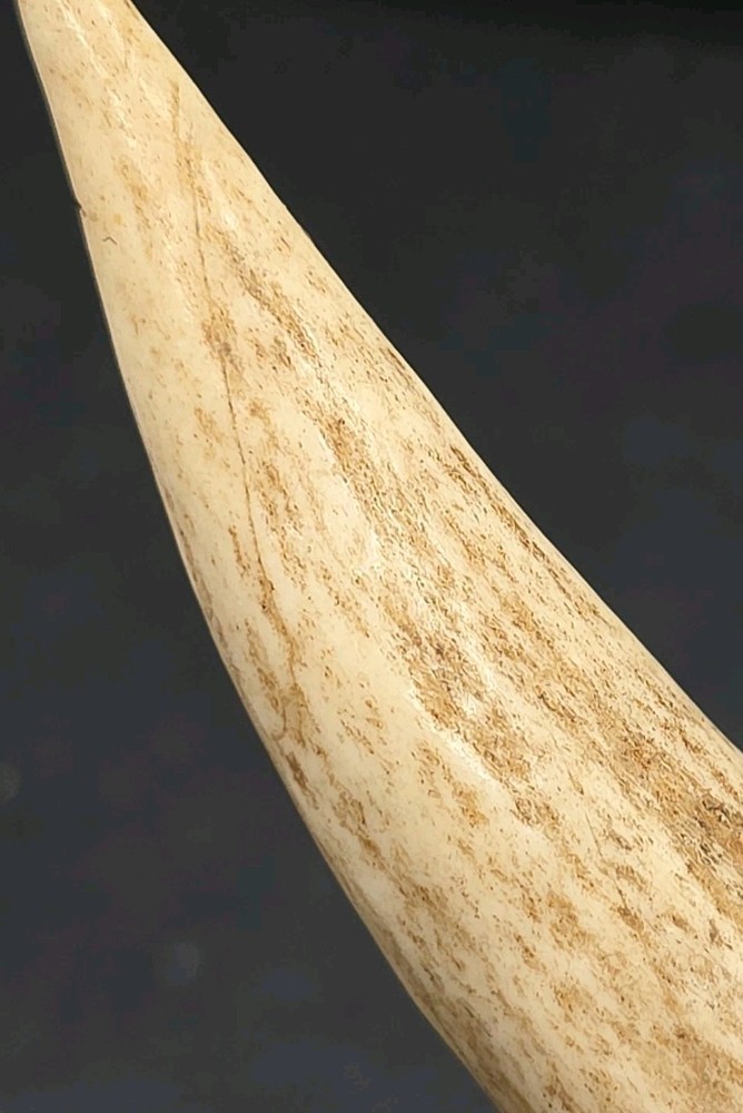 Ah-So Wine Opener With Antler Handle
