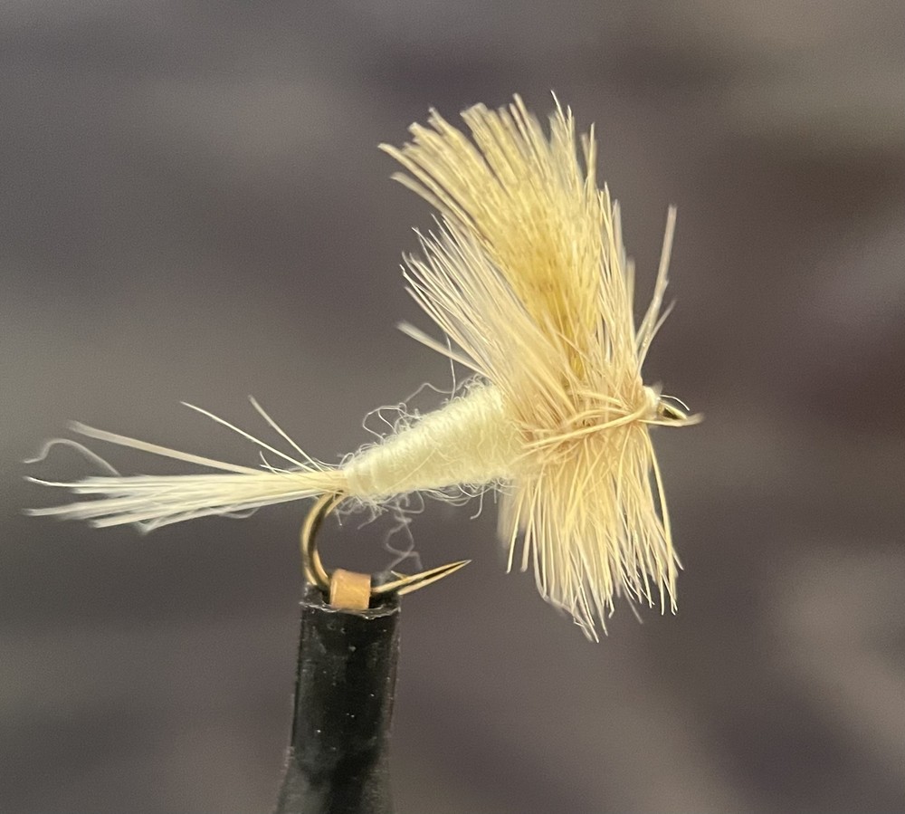 Light Cahill Dry Fly