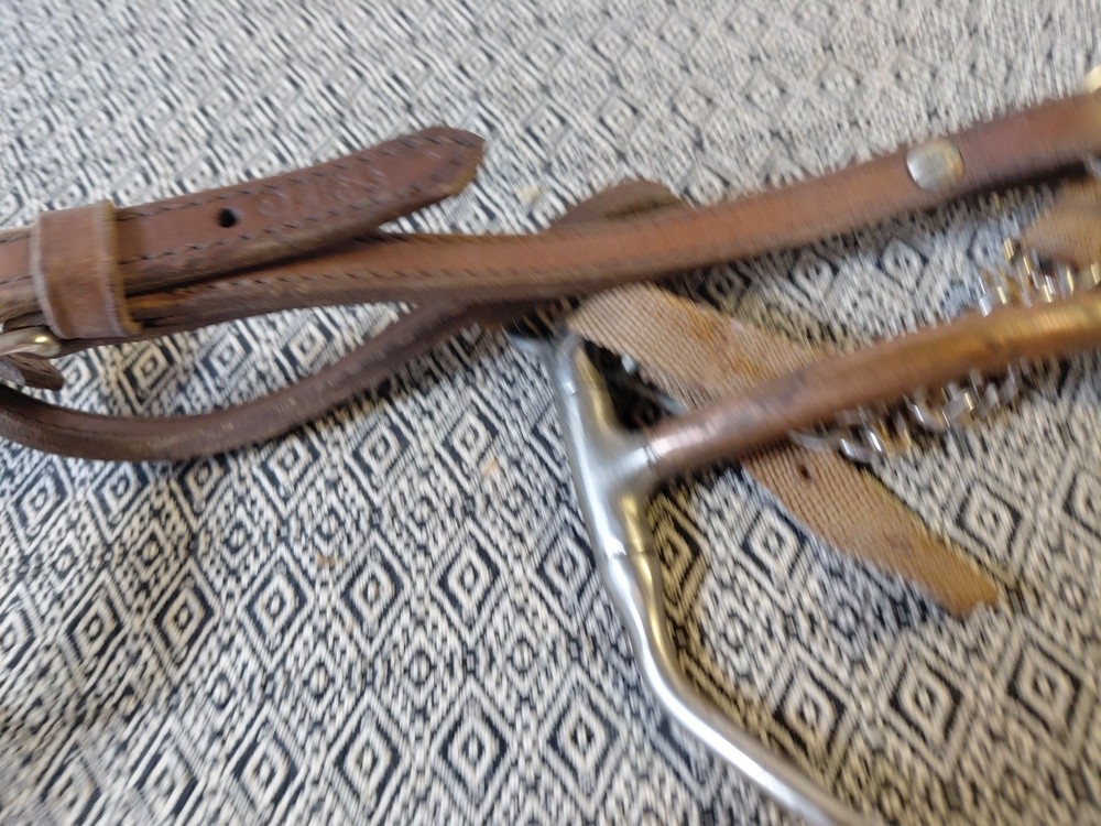 Circle Y Browband Leather Headstall With Bit