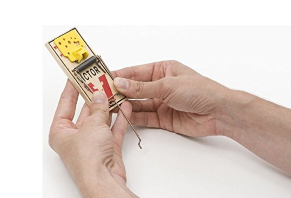 Easy Set Mouse Traps, 2-Pack ( 4 count )