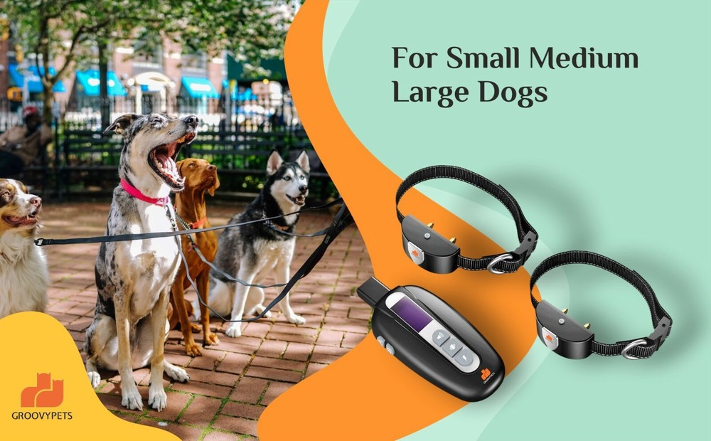 Remote Training Shock Collar Waterproof Trainer for Two Small Medium Large Dog