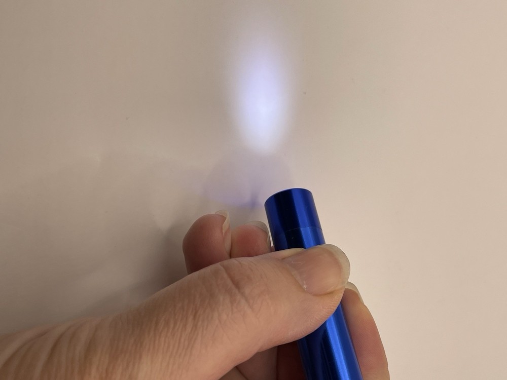 led light/whistle/compass on key ring- Blue/Silver