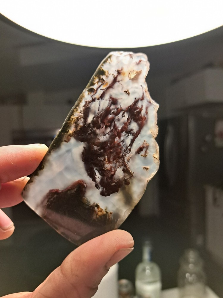 Moss agate Maury Mountain