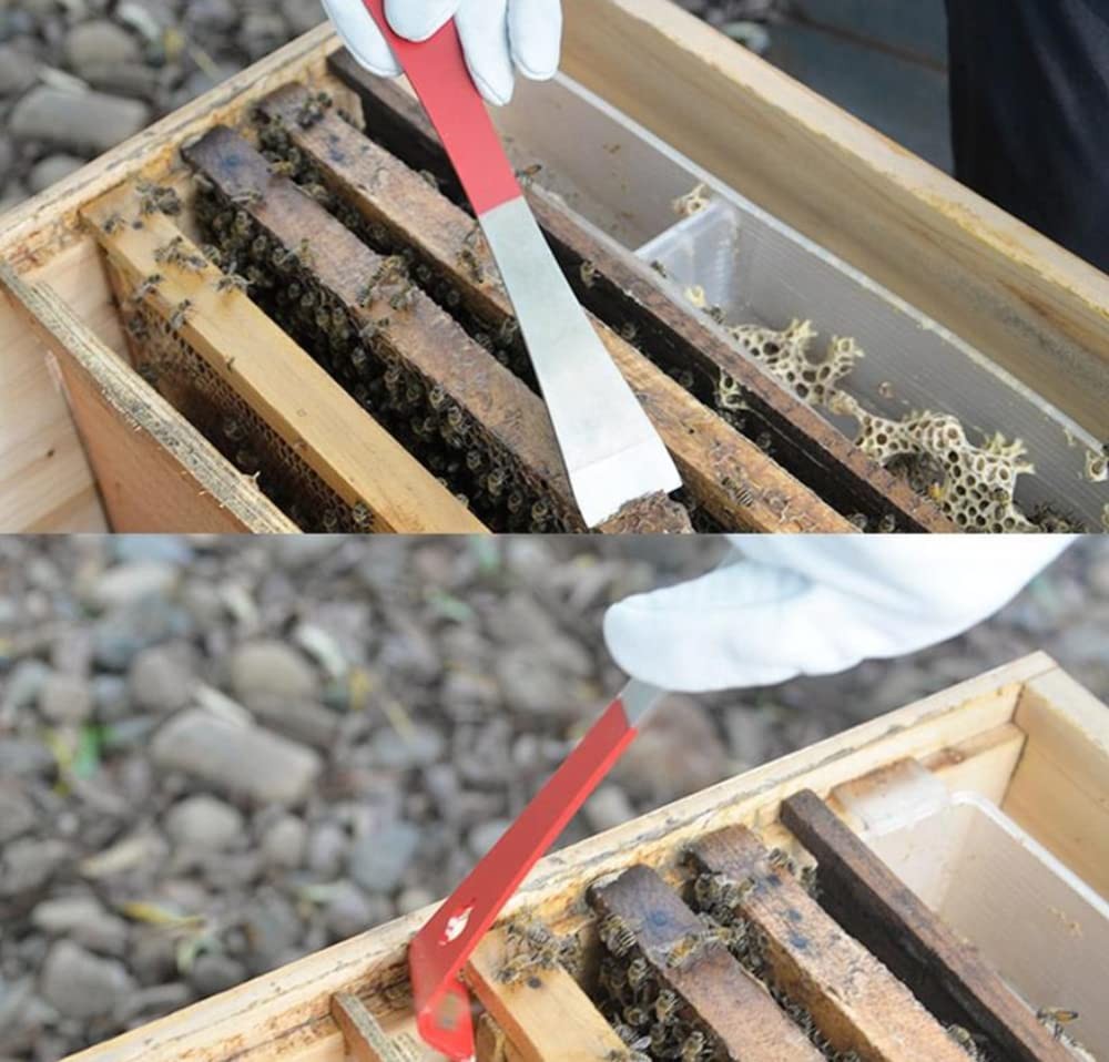 WEICHUAN 2PCS Stainless Steel Hive Scraper Tools -