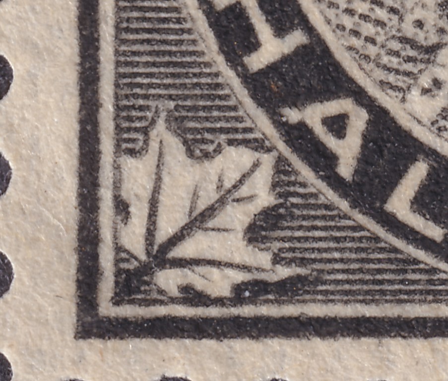 Canada 1897-98, Re-entry, Sc. 66, 1/2 cent, MNH.