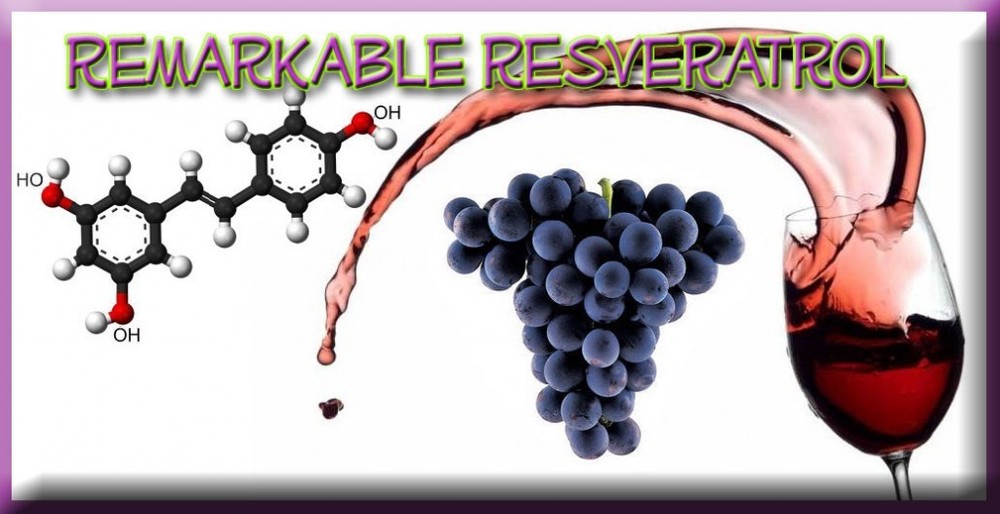 Antioxidant formula - RESVERATROL – GRAPE SEED EXTRACT COMBO - grape seed diet