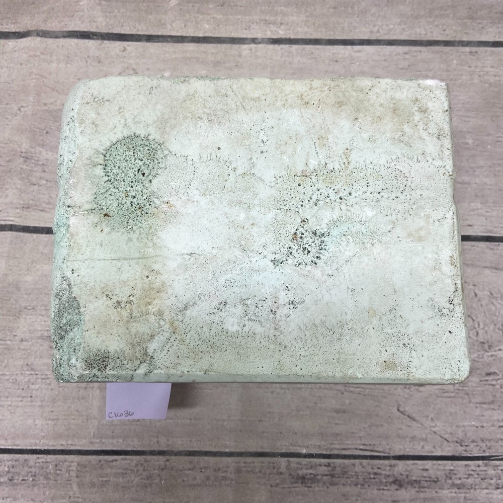 Bell Ceramic Casting Mold Shell-Shaped Birdbath #315