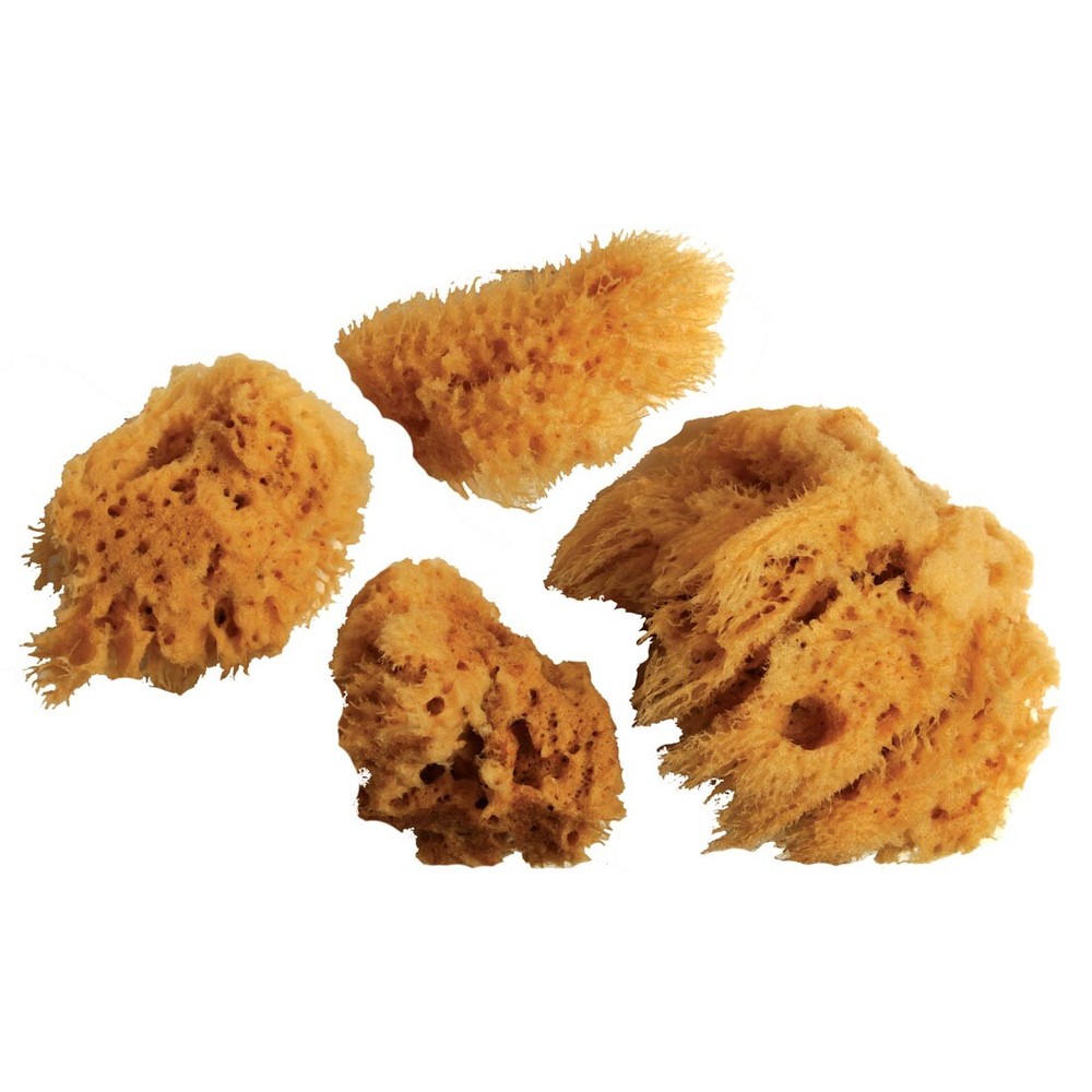 WOOL SPONGE SET