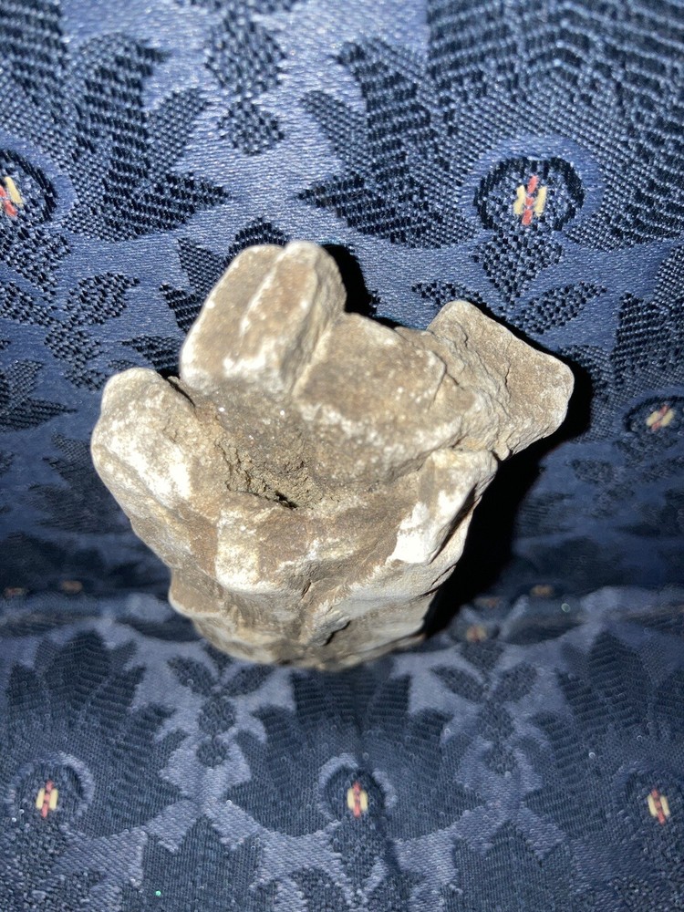 RARE SKYSCRAPER Design - HEAVY PETRIFIED WOOD