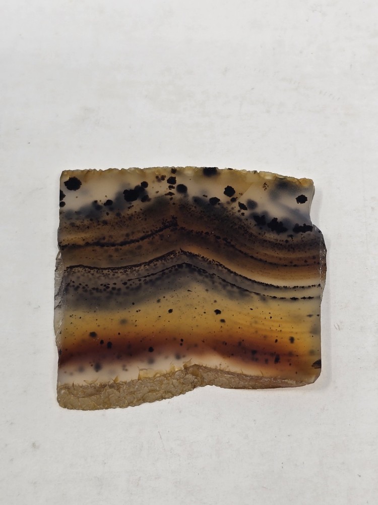 Polished Montana Moss Agate Yellowstone River stone