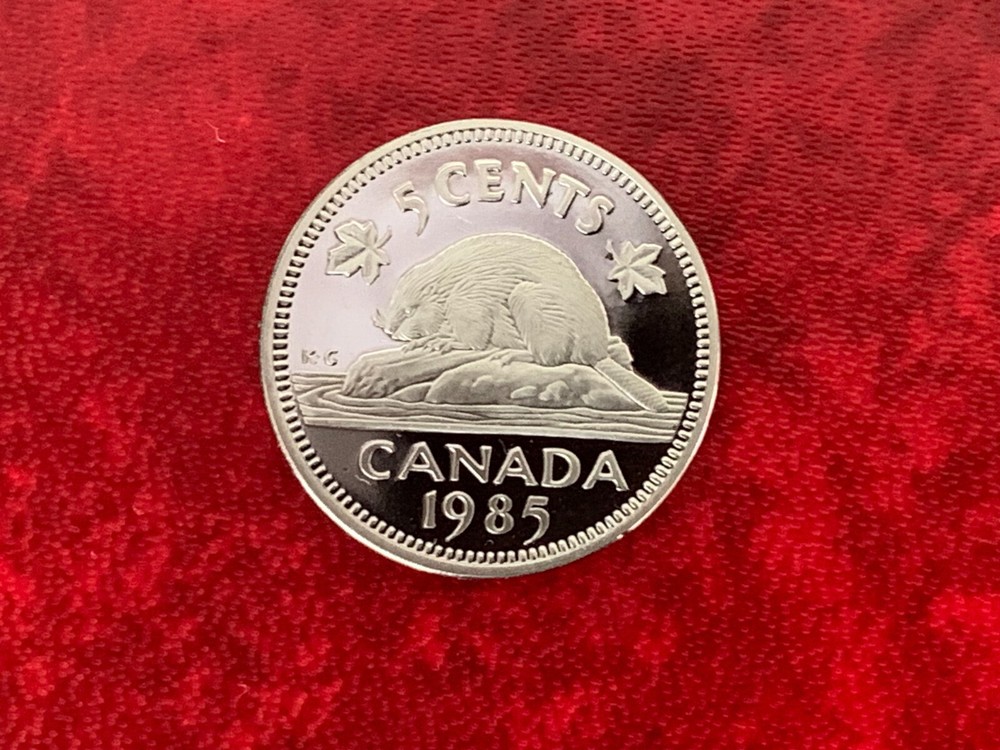 Canada 5 Cent 1985 Proof Coin-Uncirculated