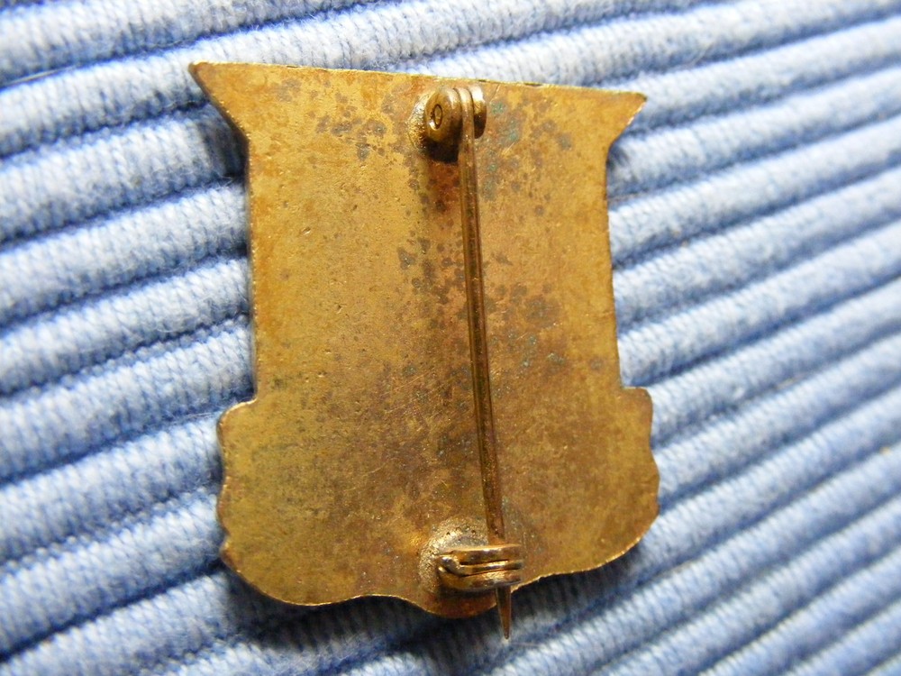 WW2 123rd Field Artillery Unit Crest