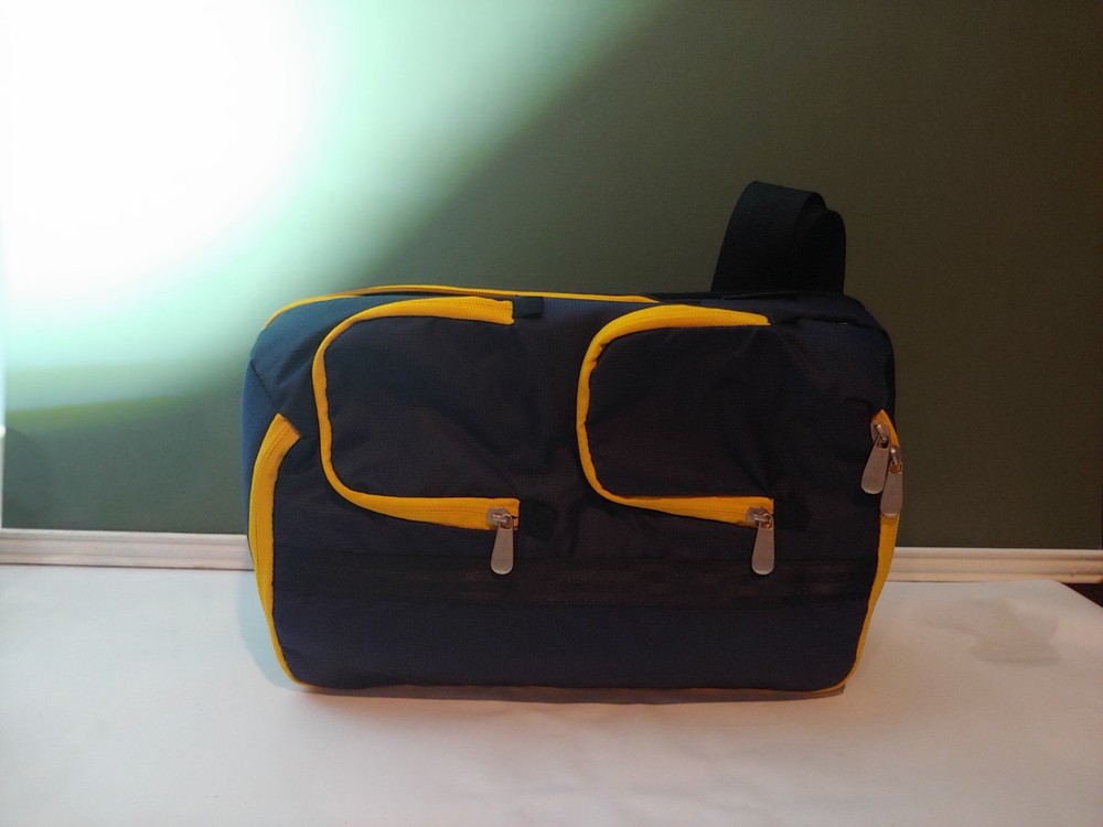 Picnic Time (NEW) Wine Tote