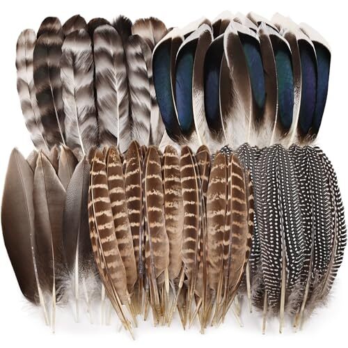 40pcs Natural Pheasant Feathers Bulk Spotted Feathers 5 Styles Mixed Feathers