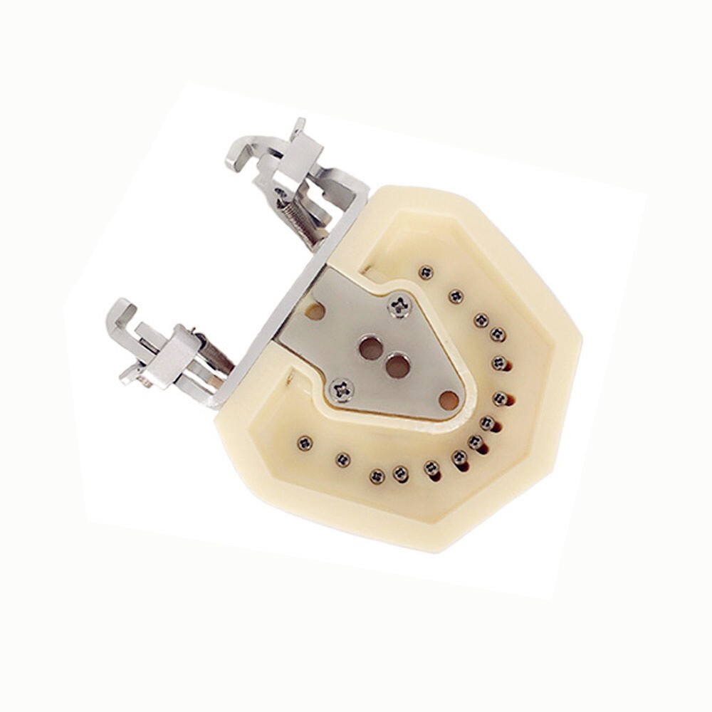 Dental Typodont Practice Study Standard Teeth Model 28 Pcs Removable Teeth M7008