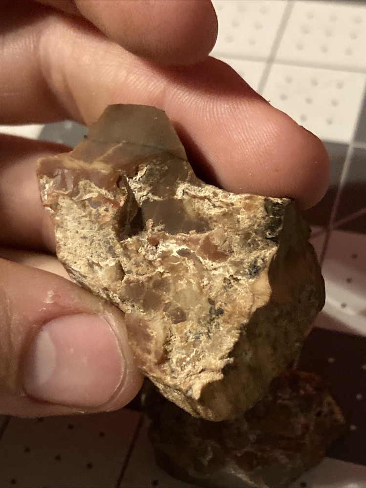 Ancient Petrified Wood Chunks
