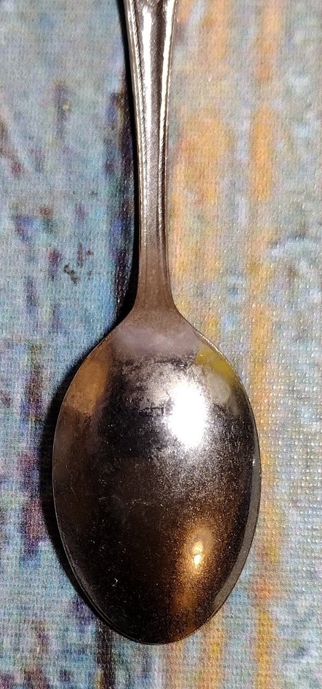 Minnesota Souvenir Spoon with Fish Pendent