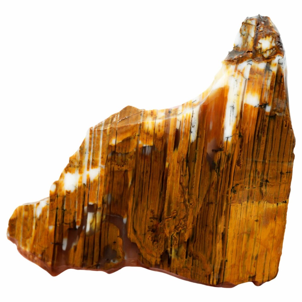 Wascoite Slab - Strata Coffee Pattern