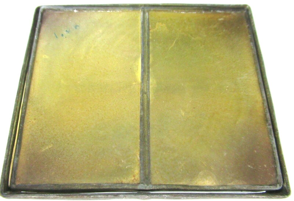 Unusual Celluloid? Shell? Palm Tree Vintage Cigarette Case