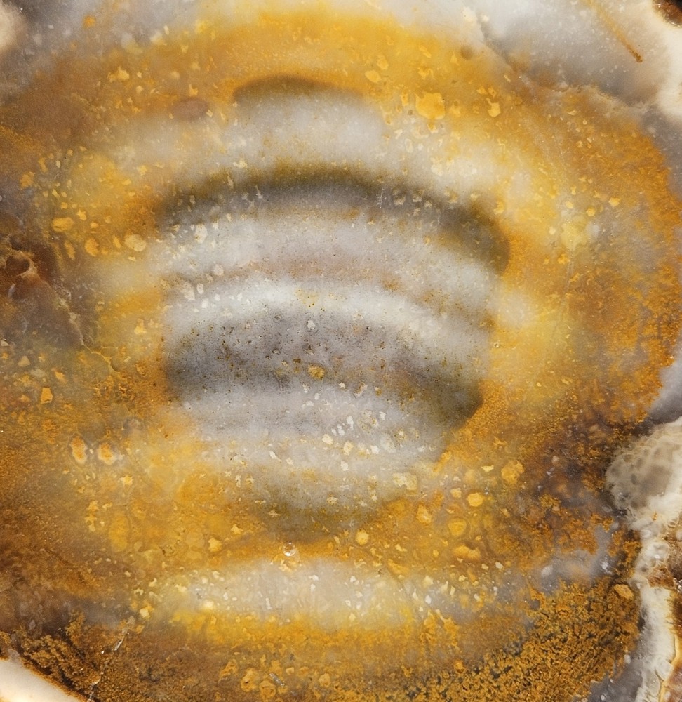 Agate Lapidary Slab 101 Grams