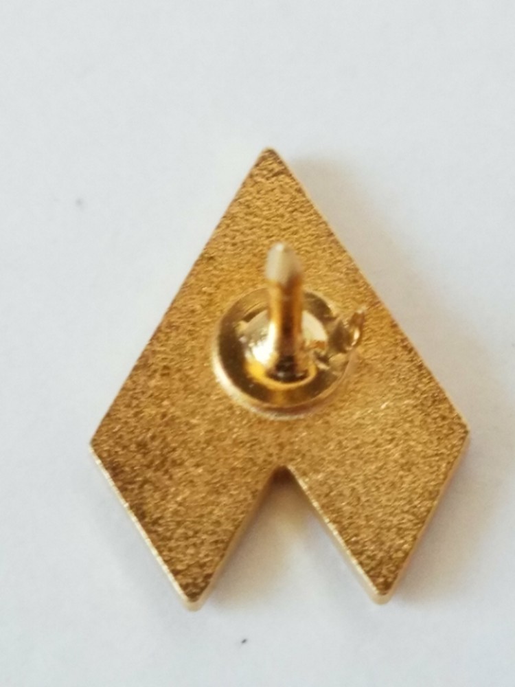 QAS Lapel Pin