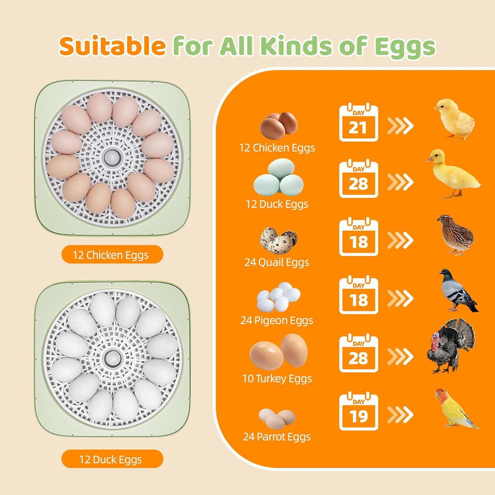 Fully Automatic Egg Incubator for Hatching Eggs, Auto Water Refill & Turner, 12