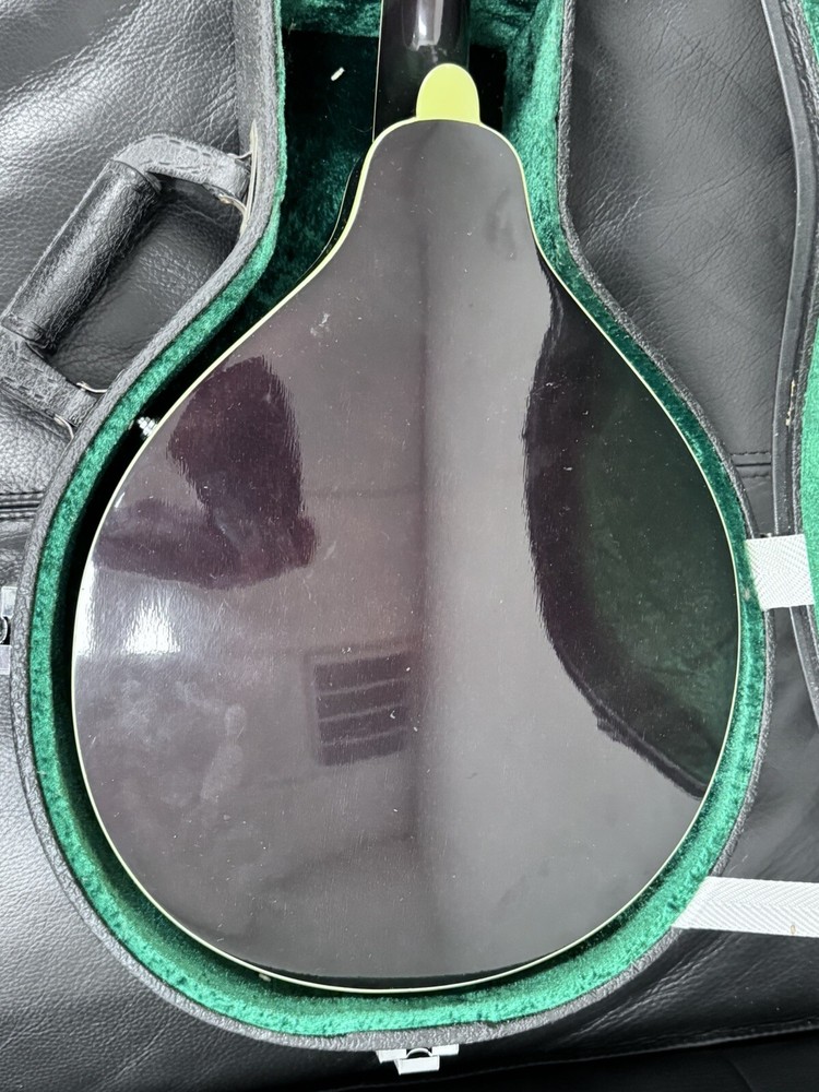 OSCAR SCHMIDT OM 10, Hard Case Great Shape