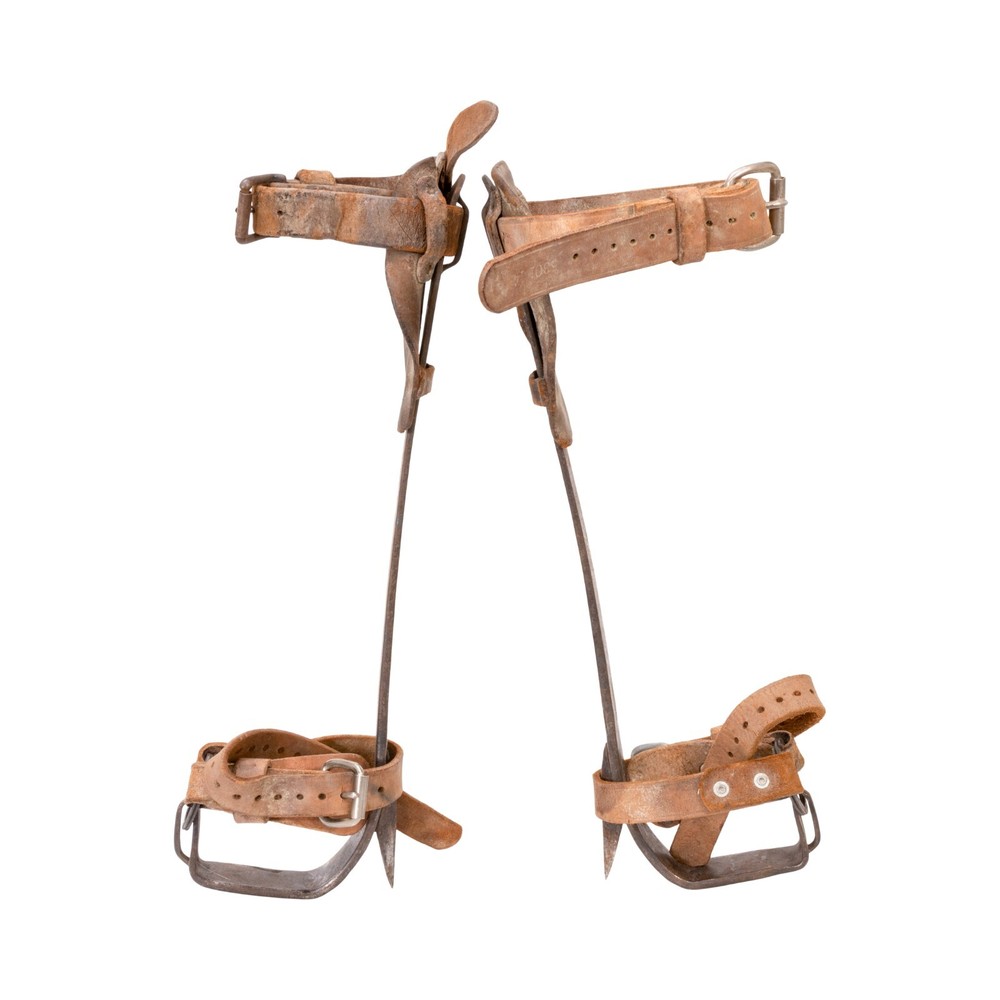 Tree Climbing Spikes