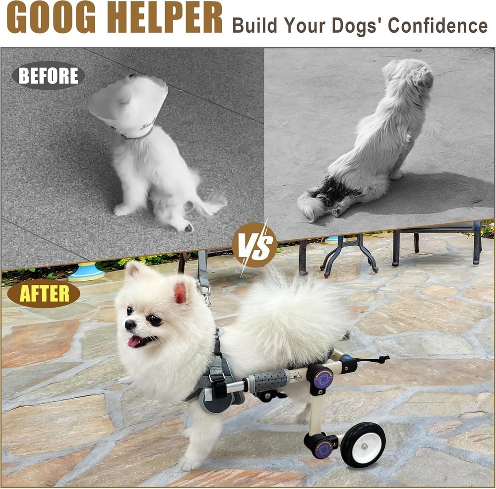 Adjustable Dog Wheelchair for Back Legs Mobility Support - Lightweight - Small