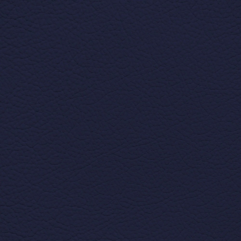 Jaguar Light Navy Leather Dye