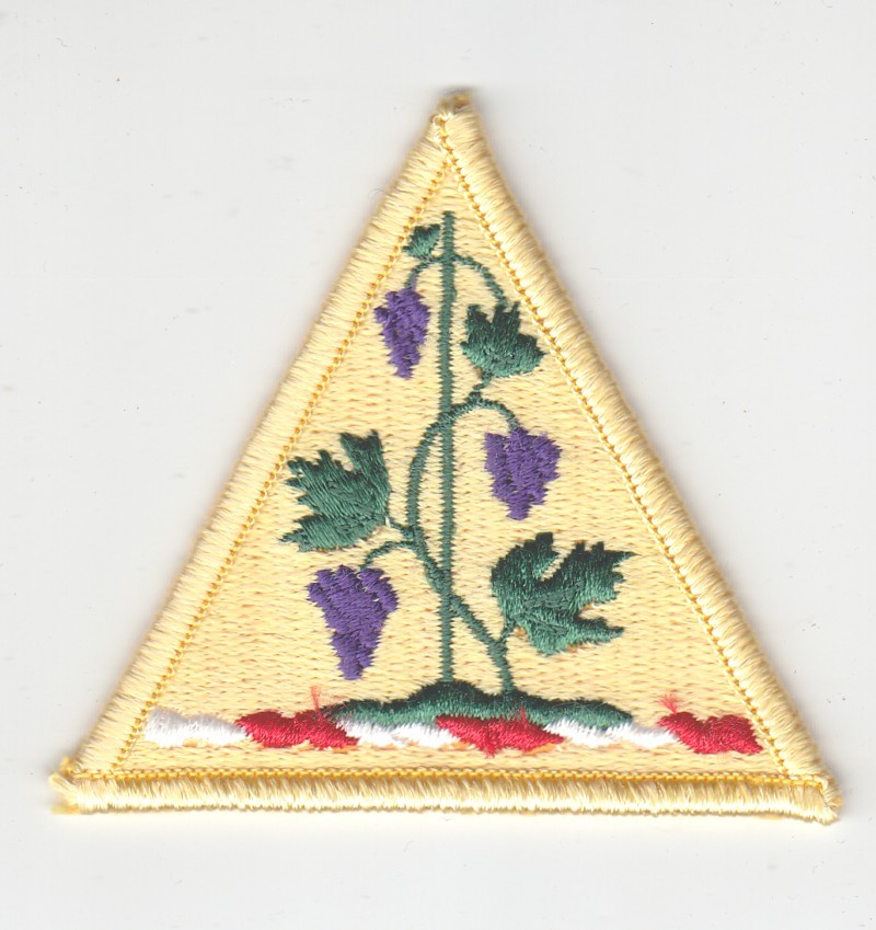 Army Patch: Connecticut National Guard Headquarters - merrowed edge
