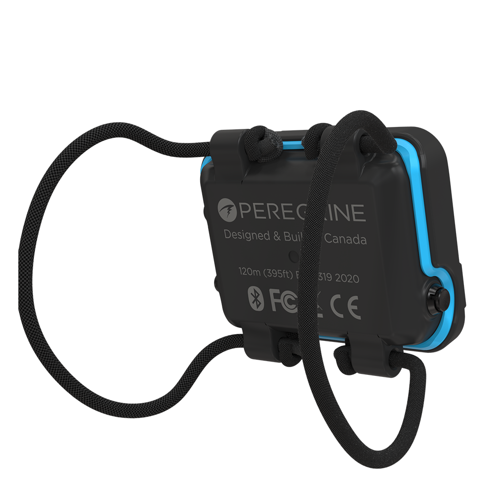 Shearwater - Peregrine