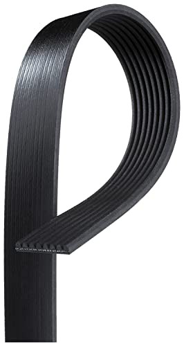 K081264 Belt