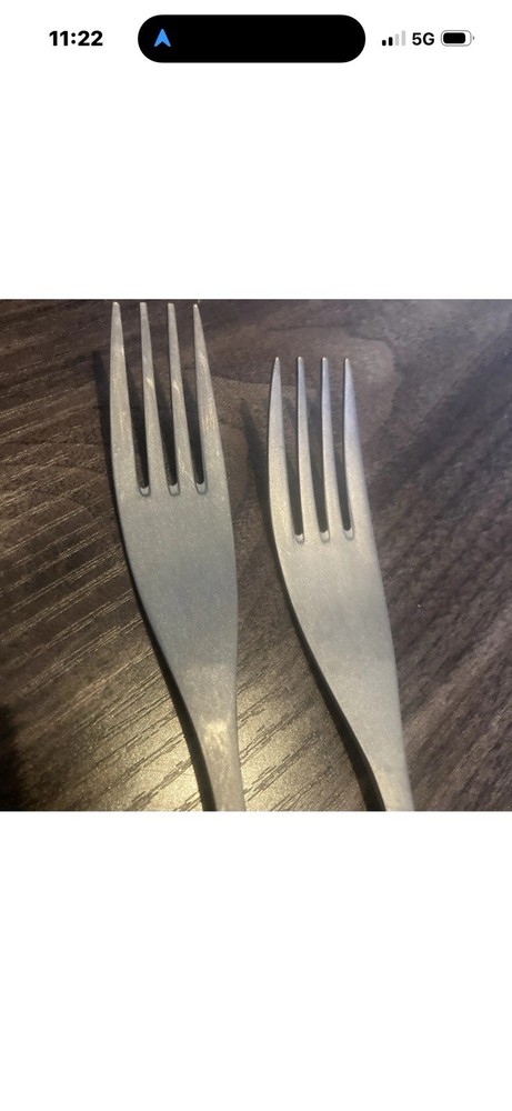 Boundless Voyage Titanium Fork Set Of 2
