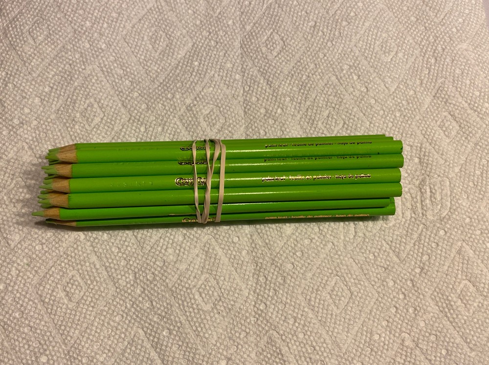 (20) Crayola Colored Pencils (palm leaf) BULK