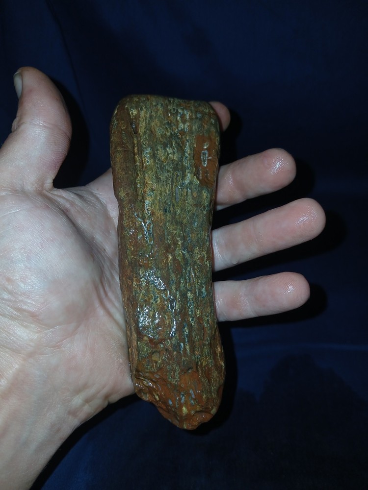 10.5 oz Texas Petrified Wood